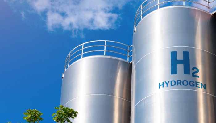 Germany targets Nigeria as strategic partner in green hydrogen development