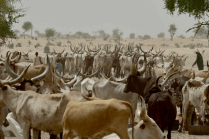 FG, states partner to address farmer-herder clashes and develop livestock sector