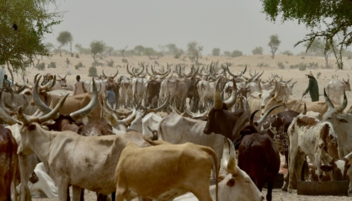 FG, states partner to address farmer-herder clashes and develop livestock sector