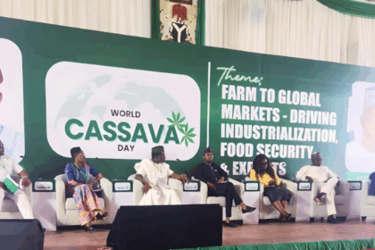 FMN Agro partners with federal government to develop cassava opportunities