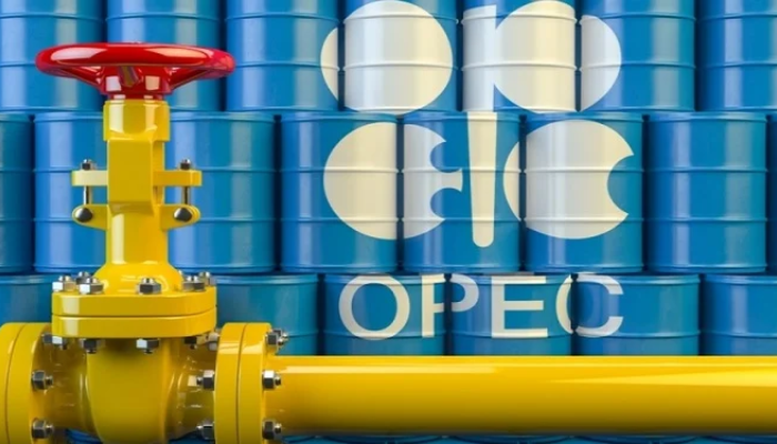 OPEC reports oil output slips in november, nigeria among countries affected by outages