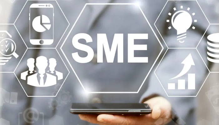 SMEs urged to strengthen digital capacity for global reach