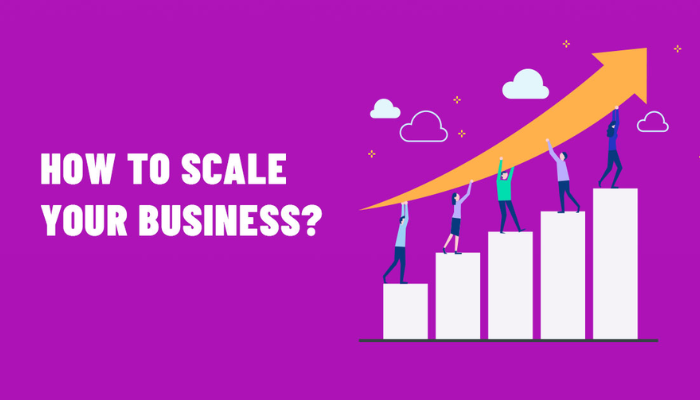 Scaling your business from start to expansion